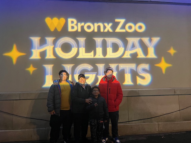 Lions, Tigers and Lights…Oh&nbsp;My!